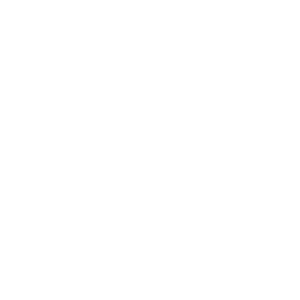 Outback-Disability-Services-icon-W