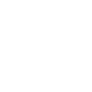 icon-Outback-Disability-Services-W